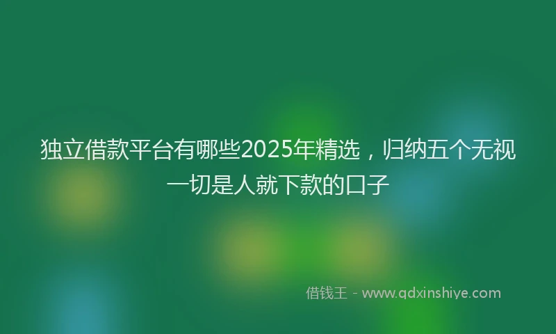 独立借款平台有哪些2025年精选，归纳五个无视一切是人就下款的口子