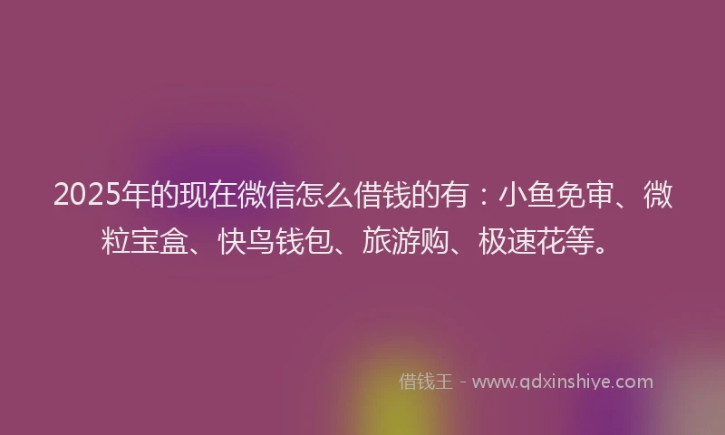 2025年的现在微信怎么借钱的有：小鱼免审、微粒宝盒、快鸟钱包、旅游购、极速花等。