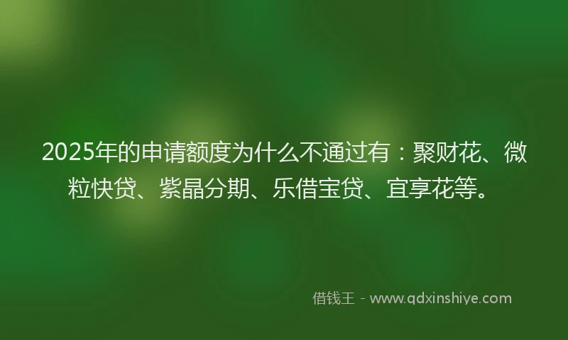 2025年的申请额度为什么不通过有：聚财花、微粒快贷、紫晶分期、乐借宝贷、宜享花等。