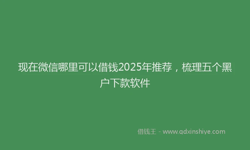 现在微信哪里可以借钱2025年推荐，梳理五个黑户下款软件