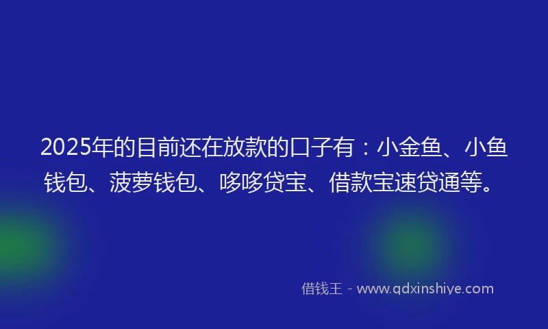 2025年的目前还在放款的口子有：小金鱼、小鱼钱包、菠萝钱包、哆哆贷宝、借款宝速贷通等。