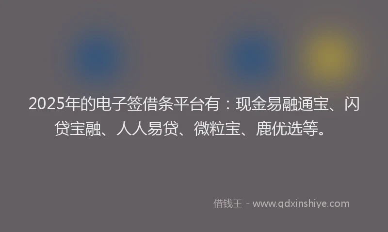 2025年的电子签借条平台有：现金易融通宝、闪贷宝融、人人易贷、微粒宝、鹿优选等。