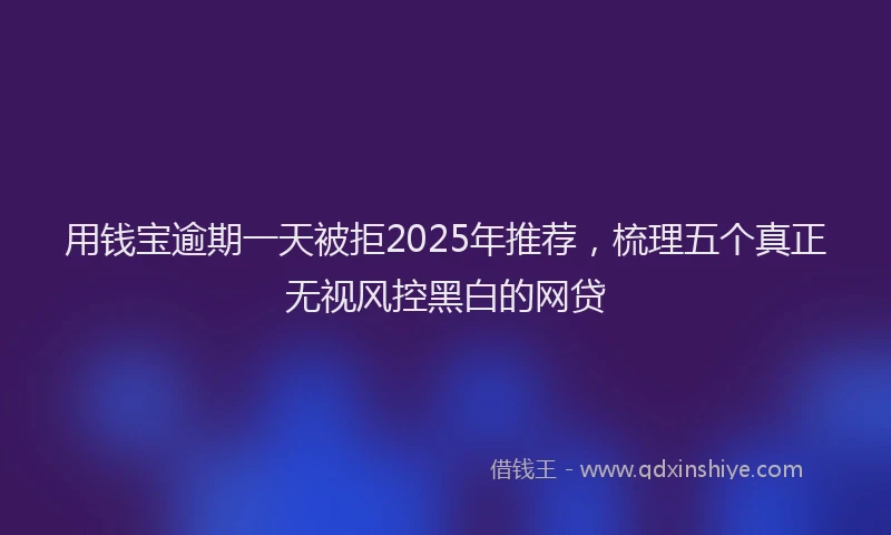 用钱宝逾期一天被拒2025年推荐，梳理五个真正无视风控黑白的网贷