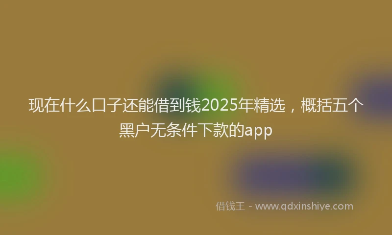 现在什么口子还能借到钱2025年精选，概括五个黑户无条件下款的app