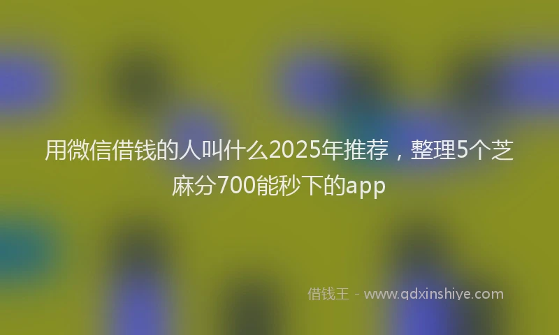 用微信借钱的人叫什么2025年推荐，整理5个芝麻分700能秒下的app