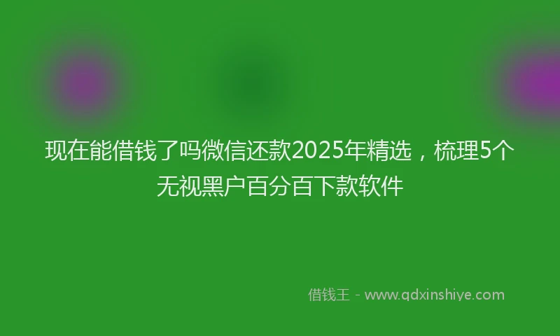 现在能借钱了吗微信还款2025年精选，梳理5个无视黑户百分百下款软件