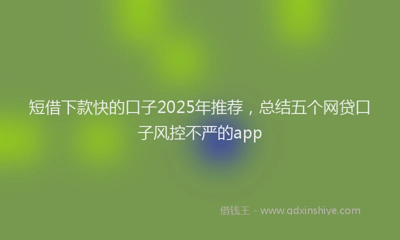 短借下款快的口子2025年推荐，总结五个网贷口子风控不严的app