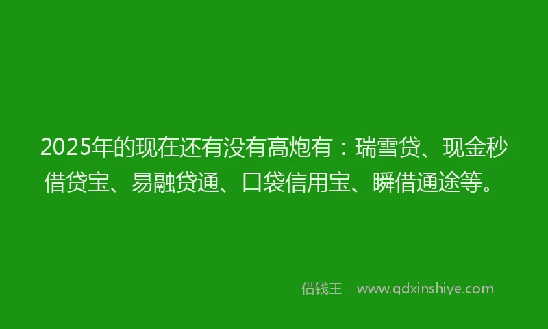 2025年的现在还有没有高炮有：瑞雪贷、现金秒借贷宝、易融贷通、口袋信用宝、瞬借通途等。