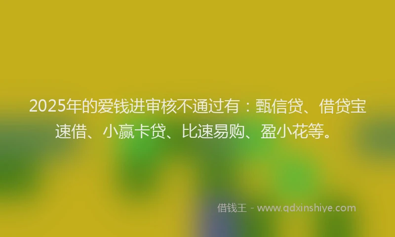 2025年的爱钱进审核不通过有：甄信贷、借贷宝速借、小赢卡贷、比速易购、盈小花等。