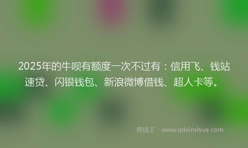 2025年的牛呗有额度一次不过有：信用飞、钱站速贷、闪银钱包、新浪微博借钱、超人卡等。