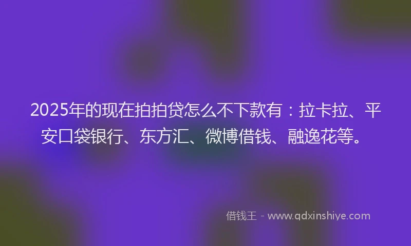 2025年的现在拍拍贷怎么不下款有：拉卡拉、平安口袋银行、东方汇、微博借钱、融逸花等。