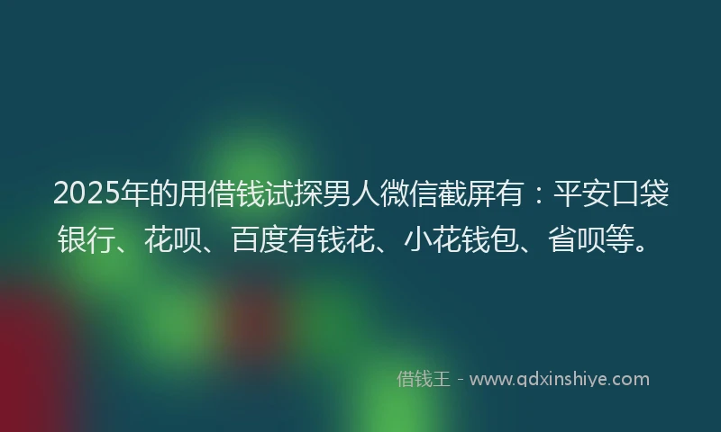 2025年的用借钱试探男人微信截屏有：平安口袋银行、花呗、百度有钱花、小花钱包、省呗等。