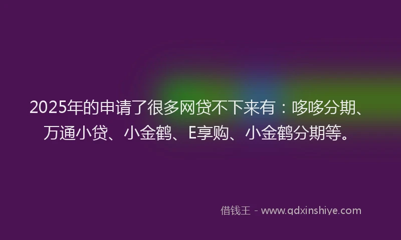 2025年的申请了很多网贷不下来有：哆哆分期、万通小贷、小金鹤、E享购、小金鹤分期等。