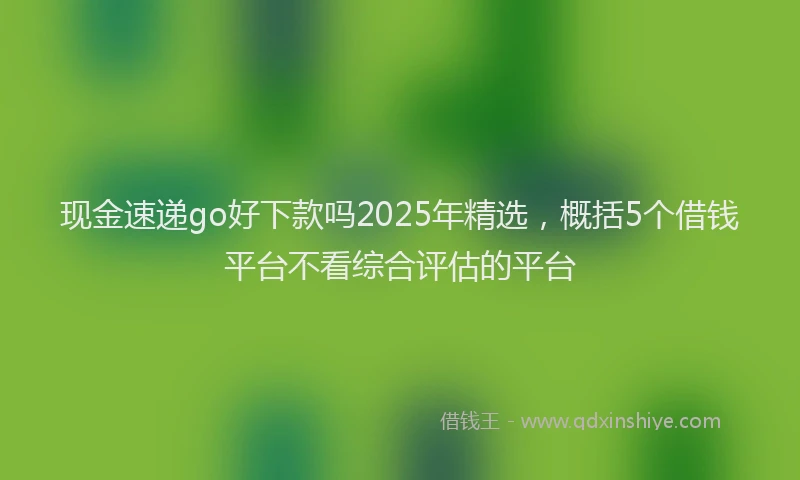现金速递go好下款吗2025年精选，概括5个借钱平台不看综合评估的平台