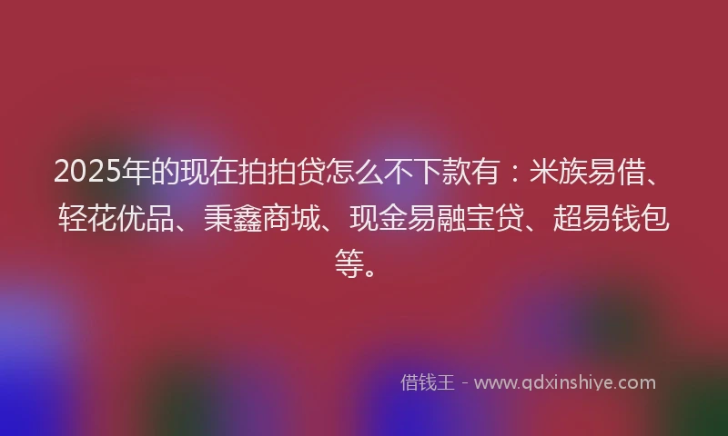 2025年的现在拍拍贷怎么不下款有：米族易借、轻花优品、秉鑫商城、现金易融宝贷、超易钱包等。