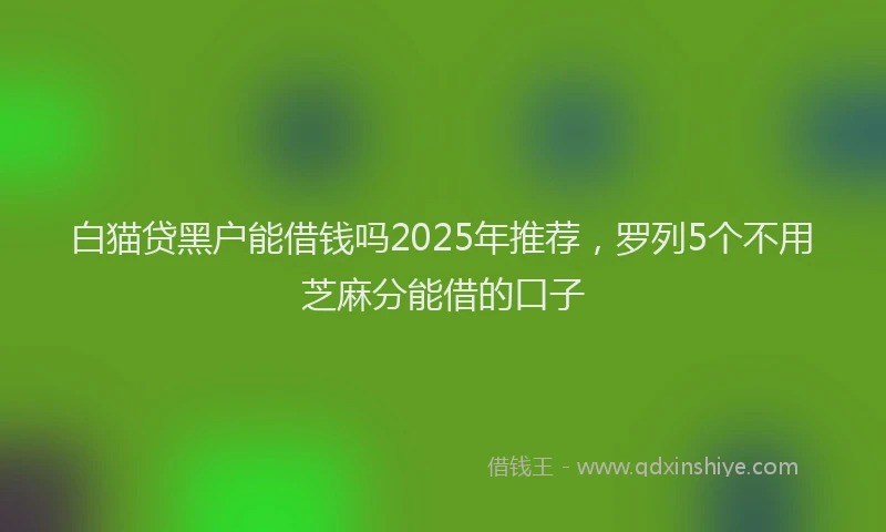 白猫贷黑户能借钱吗2025年推荐，罗列5个不用芝麻分能借的口子