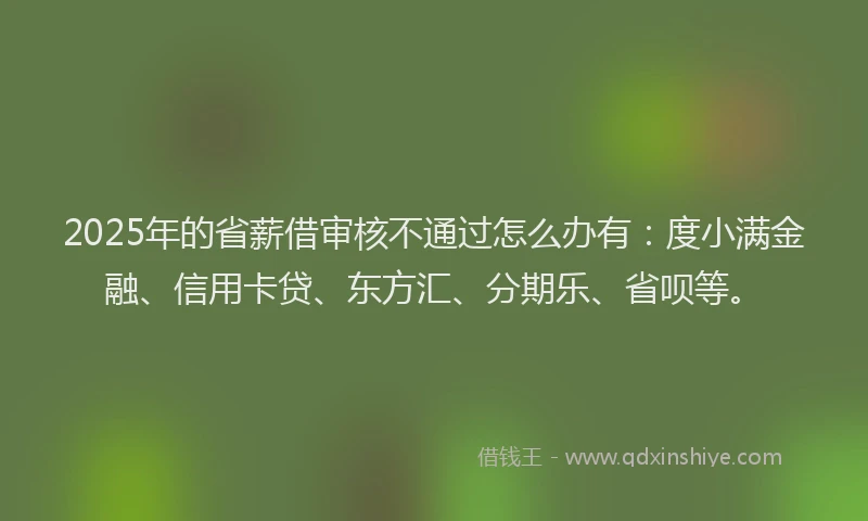 2025年的省薪借审核不通过怎么办有：度小满金融、信用卡贷、东方汇、分期乐、省呗等。