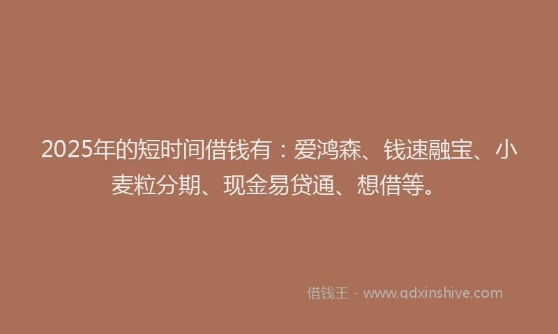 2025年的短时间借钱有：爱鸿森、钱速融宝、小麦粒分期、现金易贷通、想借等。