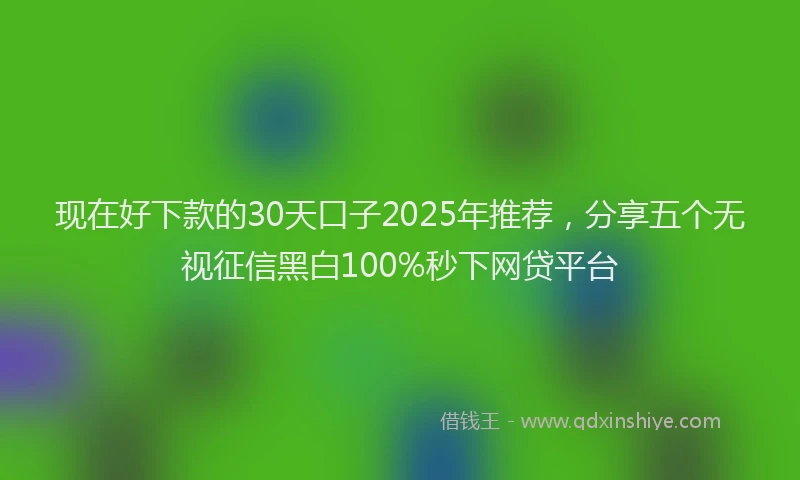 现在好下款的30天口子2025年推荐，分享五个无视征信黑白100%秒下网贷平台
