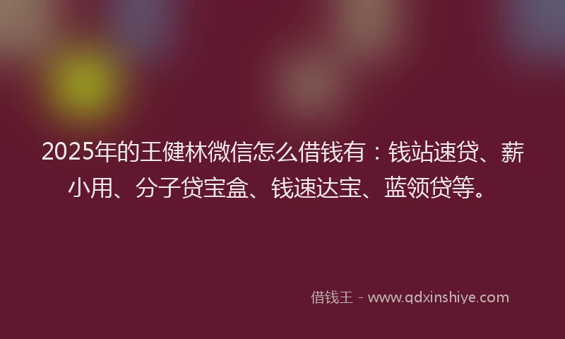 2025年的王健林微信怎么借钱有：钱站速贷、薪小用、分子贷宝盒、钱速达宝、蓝领贷等。