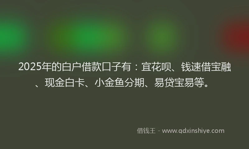 2025年的白户借款口子有：宜花呗、钱速借宝融、现金白卡、小金鱼分期、易贷宝易等。
