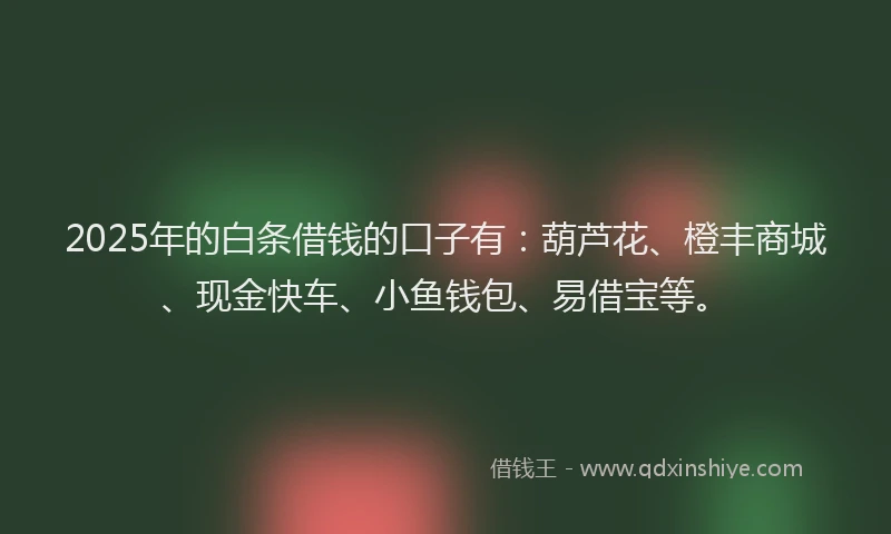 2025年的白条借钱的口子有：葫芦花、橙丰商城、现金快车、小鱼钱包、易借宝等。