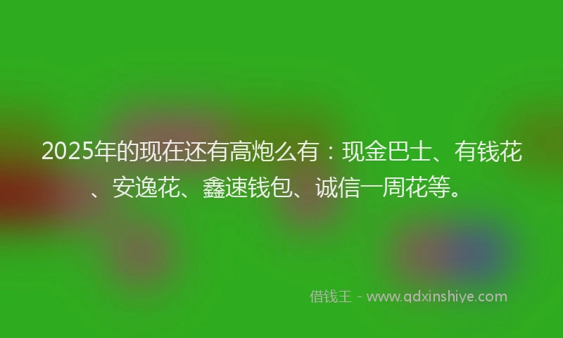 2025年的现在还有高炮么有：现金巴士、有钱花、安逸花、鑫速钱包、诚信一周花等。