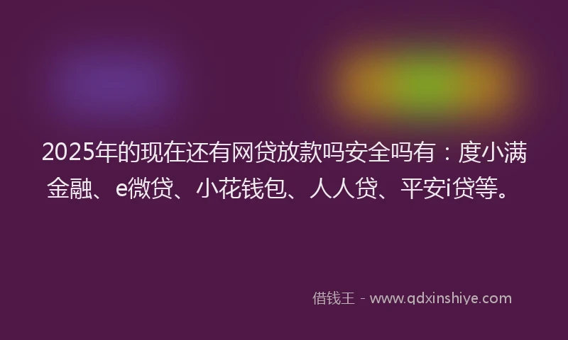 2025年的现在还有网贷放款吗安全吗有：度小满金融、e微贷、小花钱包、人人贷、平安i贷等。