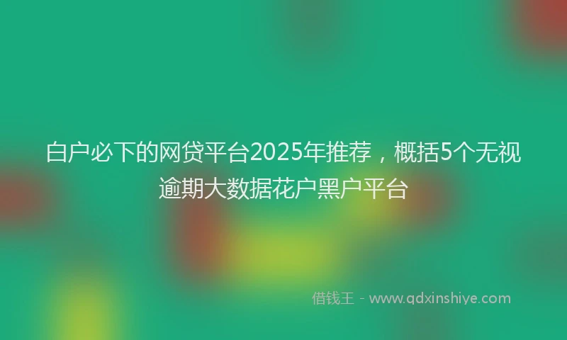 白户必下的网贷平台2025年推荐，概括5个无视逾期大数据花户黑户平台