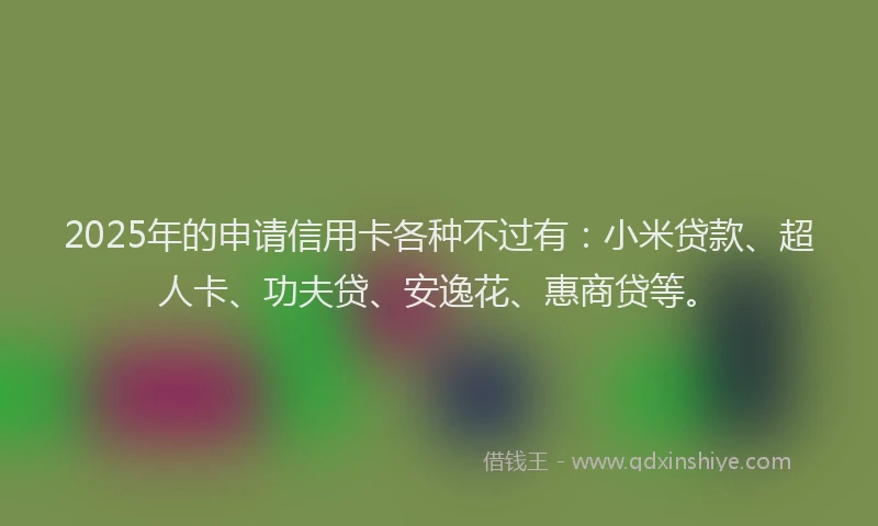 2025年的申请信用卡各种不过有：小米贷款、超人卡、功夫贷、安逸花、惠商贷等。