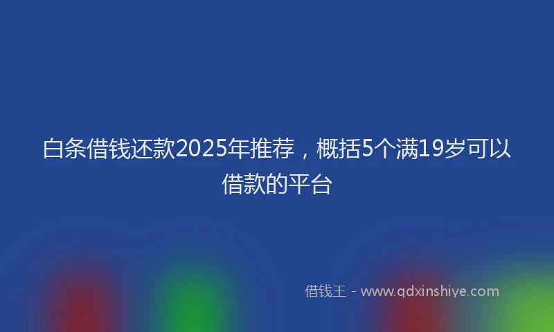 白条借钱还款2025年推荐，概括5个满19岁可以借款的平台