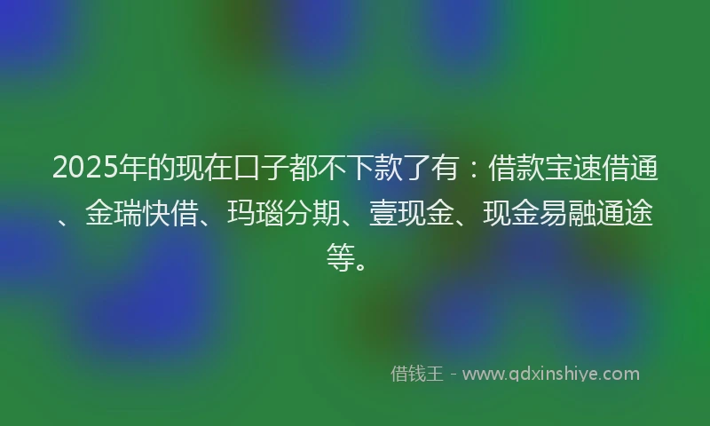 2025年的现在口子都不下款了有：借款宝速借通、金瑞快借、玛瑙分期、壹现金、现金易融通途等。