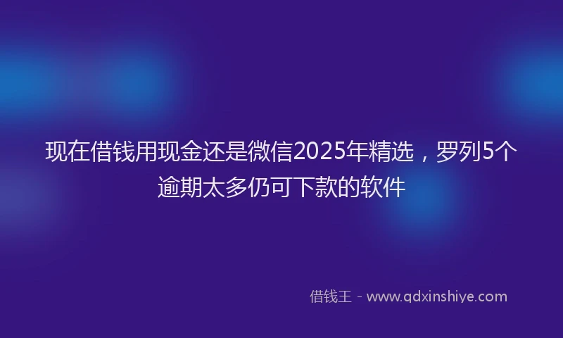 现在借钱用现金还是微信2025年精选，罗列5个逾期太多仍可下款的软件