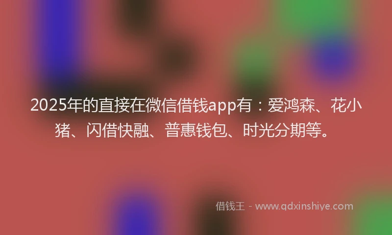 2025年的直接在微信借钱app有：爱鸿森、花小猪、闪借快融、普惠钱包、时光分期等。