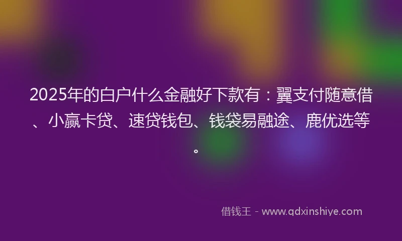 2025年的白户什么金融好下款有：翼支付随意借、小赢卡贷、速贷钱包、钱袋易融途、鹿优选等。