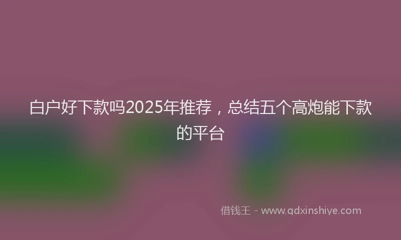 白户好下款吗2025年推荐，总结五个高炮能下款的平台