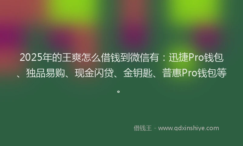 2025年的王爽怎么借钱到微信有：迅捷Pro钱包、独品易购、现金闪贷、金钥匙、普惠Pro钱包等。