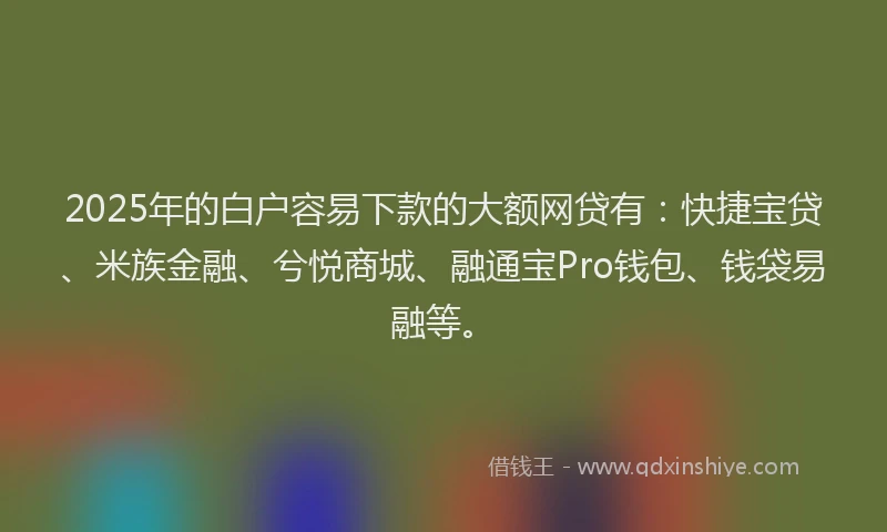 2025年的白户容易下款的大额网贷有：快捷宝贷、米族金融、兮悦商城、融通宝Pro钱包、钱袋易融等。
