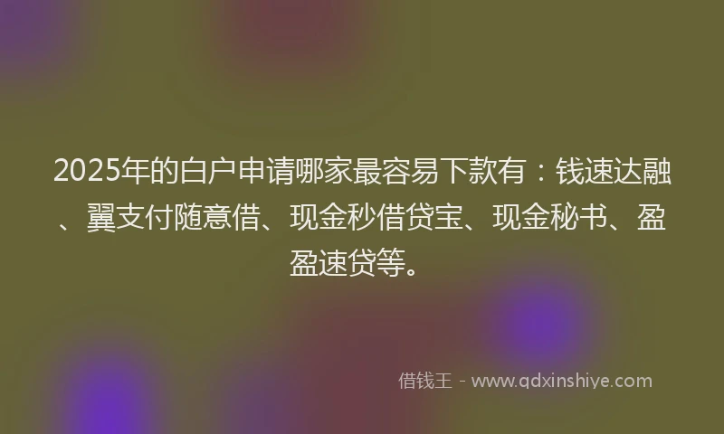 2025年的白户申请哪家最容易下款有：钱速达融、翼支付随意借、现金秒借贷宝、现金秘书、盈盈速贷等。