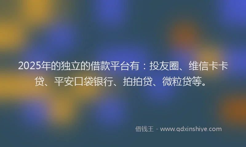2025年的独立的借款平台有：投友圈、维信卡卡贷、平安口袋银行、拍拍贷、微粒贷等。