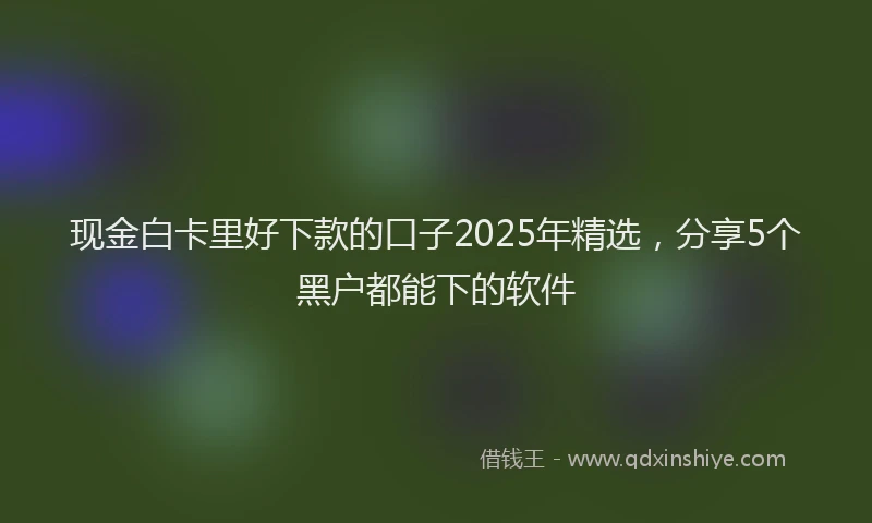 现金白卡里好下款的口子2025年精选，分享5个黑户都能下的软件