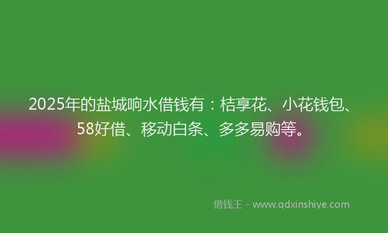 2025年的盐城响水借钱有：桔享花、小花钱包、58好借、移动白条、多多易购等。