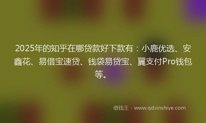2025年的知乎在哪贷款好下款有：小鹿优选、安鑫花、易借宝速贷、钱袋易贷宝、翼支付Pro钱包等。