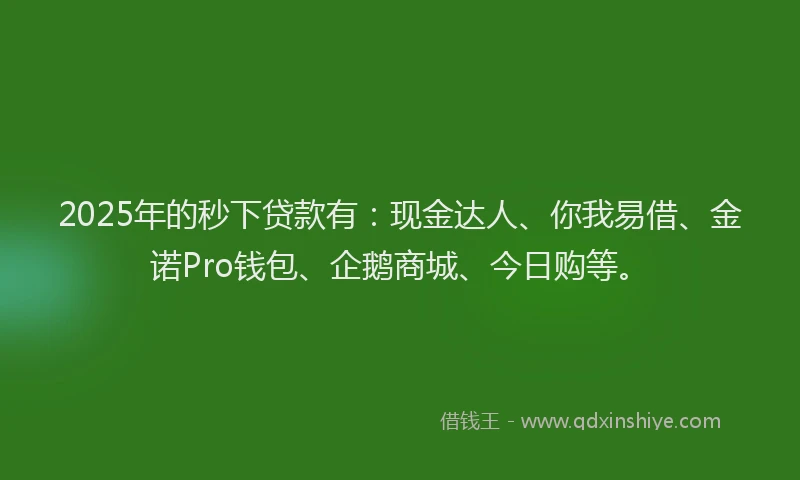 2025年的秒下贷款有：现金达人、你我易借、金诺Pro钱包、企鹅商城、今日购等。