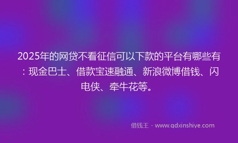 2025年的网贷不看征信可以下款的平台有哪些有：现金巴士、借款宝速融通、新浪微博借钱、闪电侠、牵牛花等。