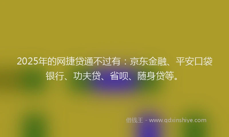 2025年的网捷贷通不过有：京东金融、平安口袋银行、功夫贷、省呗、随身贷等。