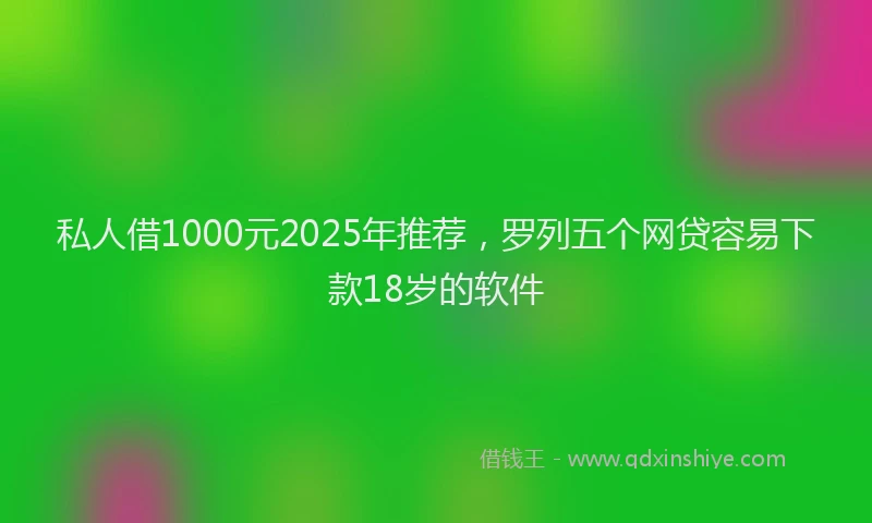 私人借1000元2025年推荐，罗列五个网贷容易下款18岁的软件