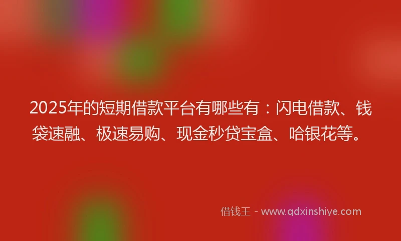 2025年的短期借款平台有哪些有：闪电借款、钱袋速融、极速易购、现金秒贷宝盒、哈银花等。