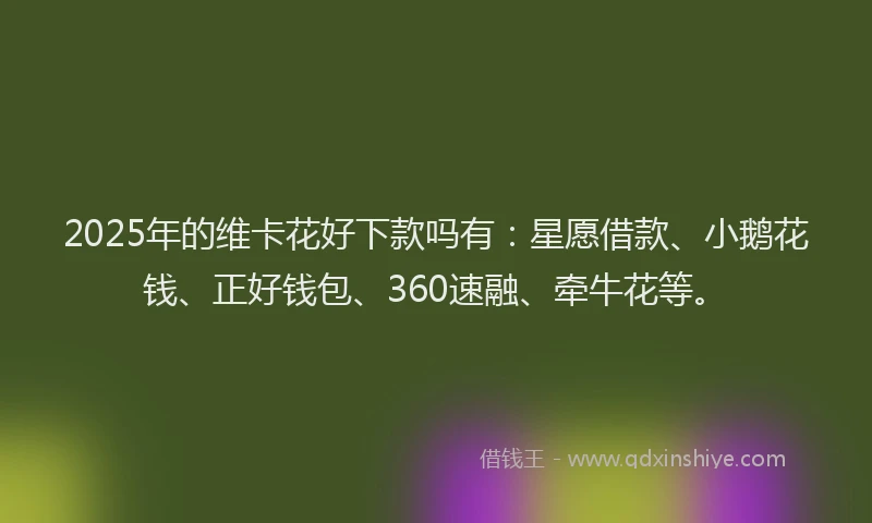 2025年的维卡花好下款吗有：星愿借款、小鹅花钱、正好钱包、360速融、牵牛花等。