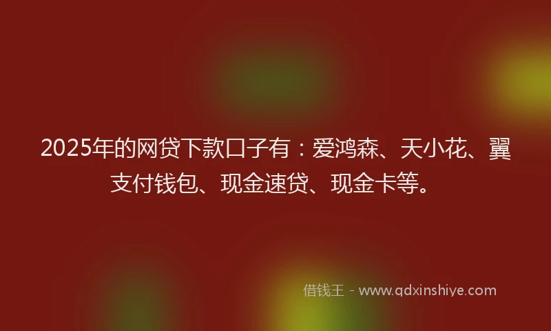 2025年的网贷下款口子有：爱鸿森、天小花、翼支付钱包、现金速贷、现金卡等。